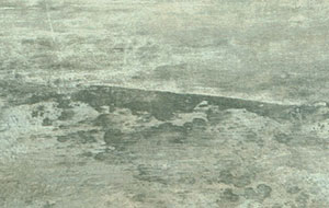 5101-stone