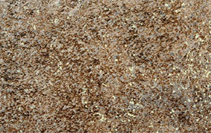 5602-shagreen